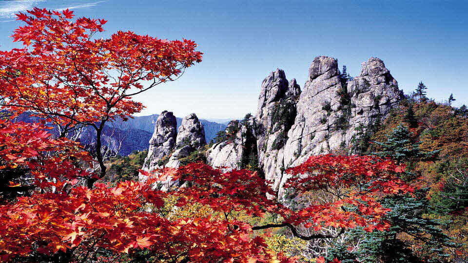 Autumn at Mt. Seorak