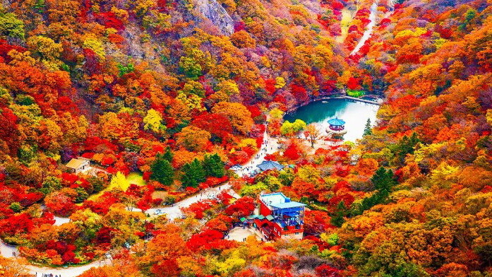 Autumn in Naejangsan Mountain