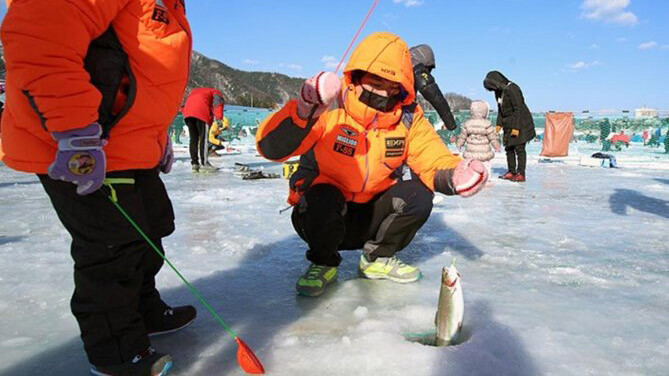 Pyeongchang Trout Festival