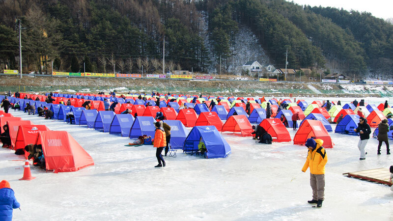Pyeongchang Trout Festival