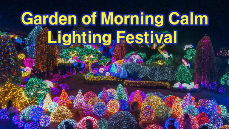 Garden of Morning Calm Lighting Festival